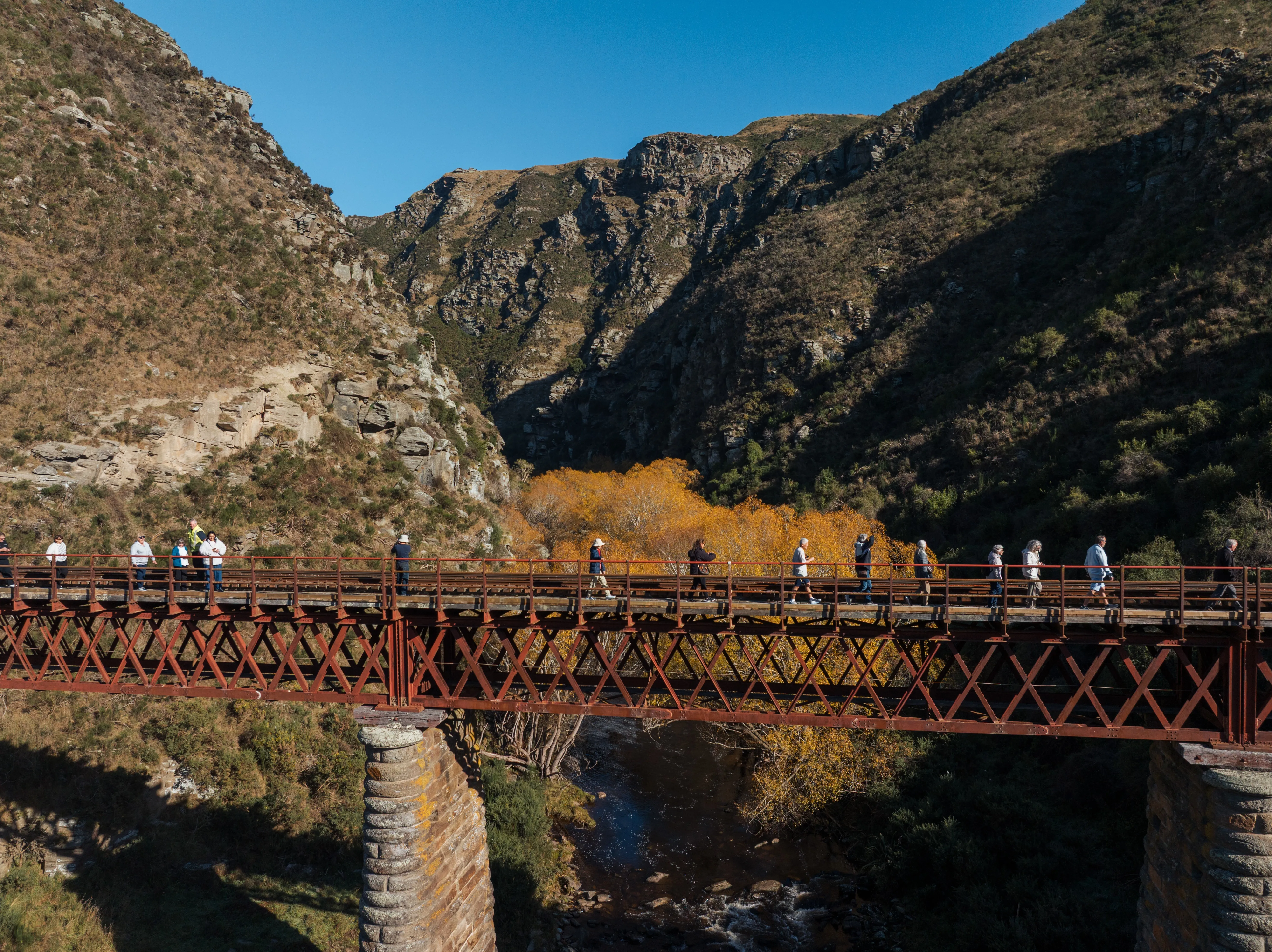 Dunedin Railways
