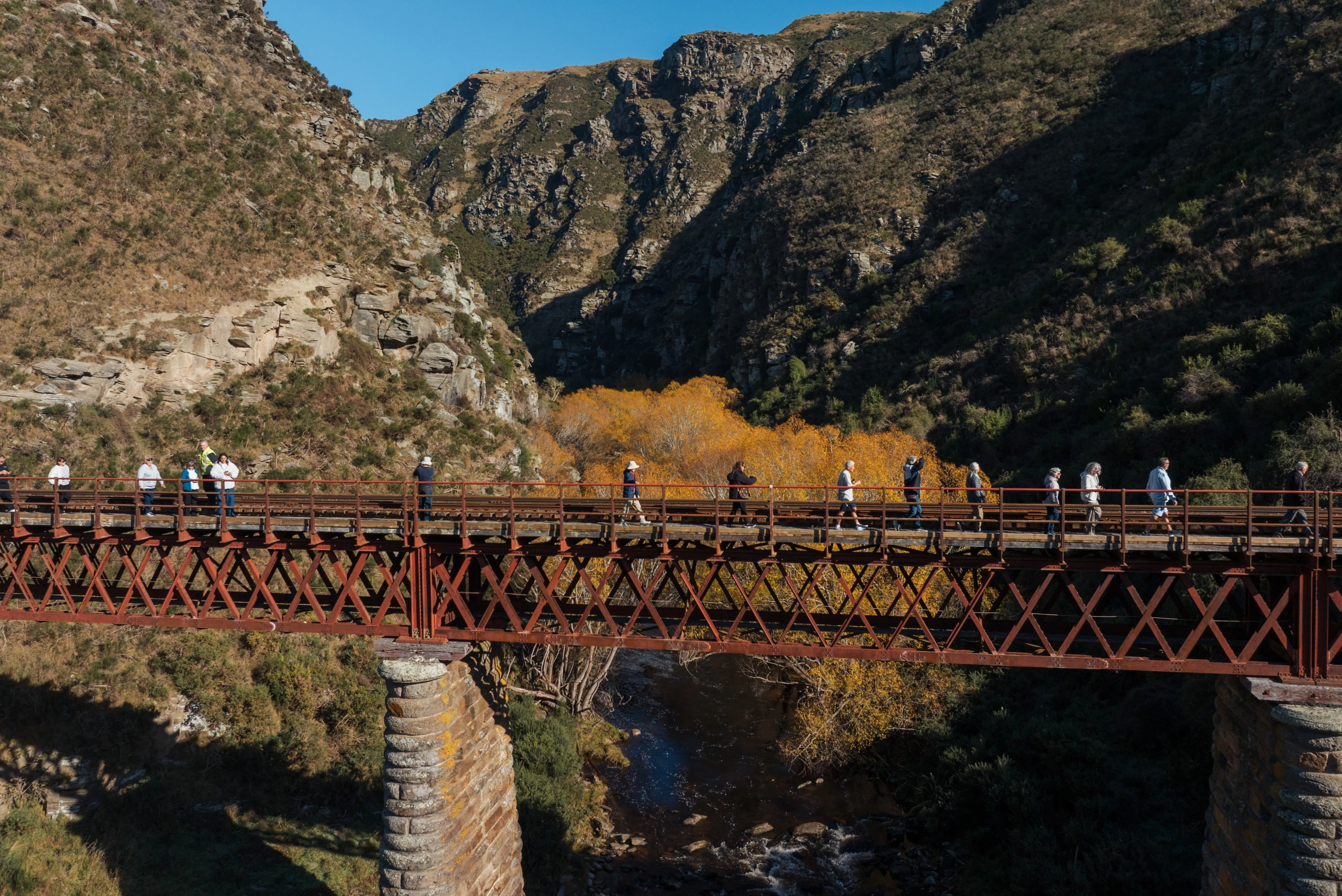 Dunedin Railways