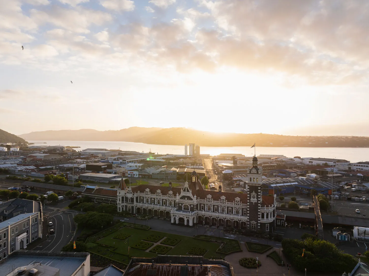 dunedin sunrise